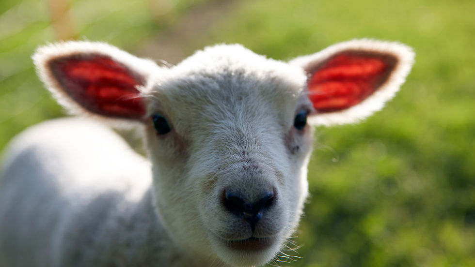 Coming soon: real-world exploration in the 'explore' section of Musall