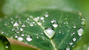 Ist Greenwashing ein Kavaliersdelikt?