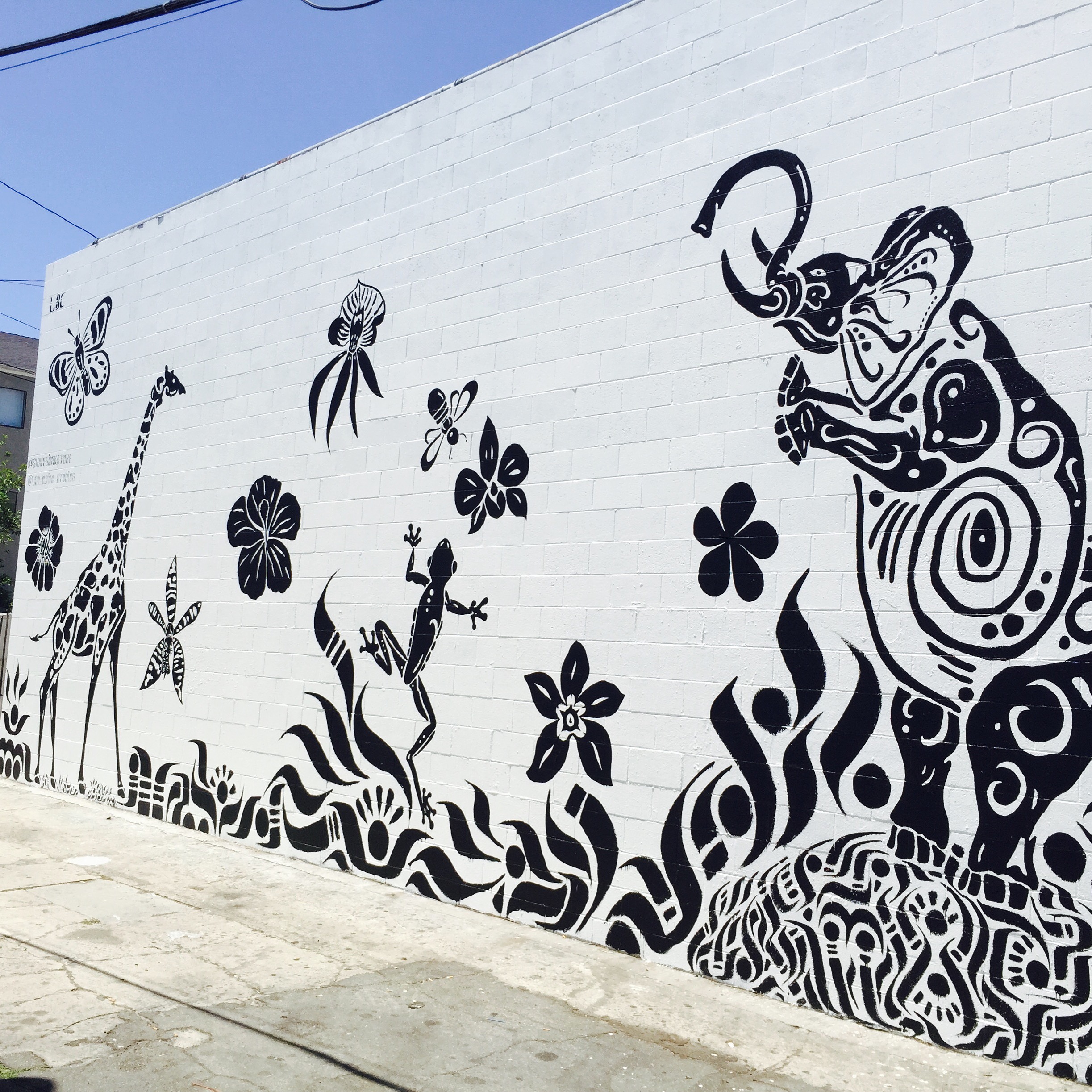 Midnight Bloom Elephant