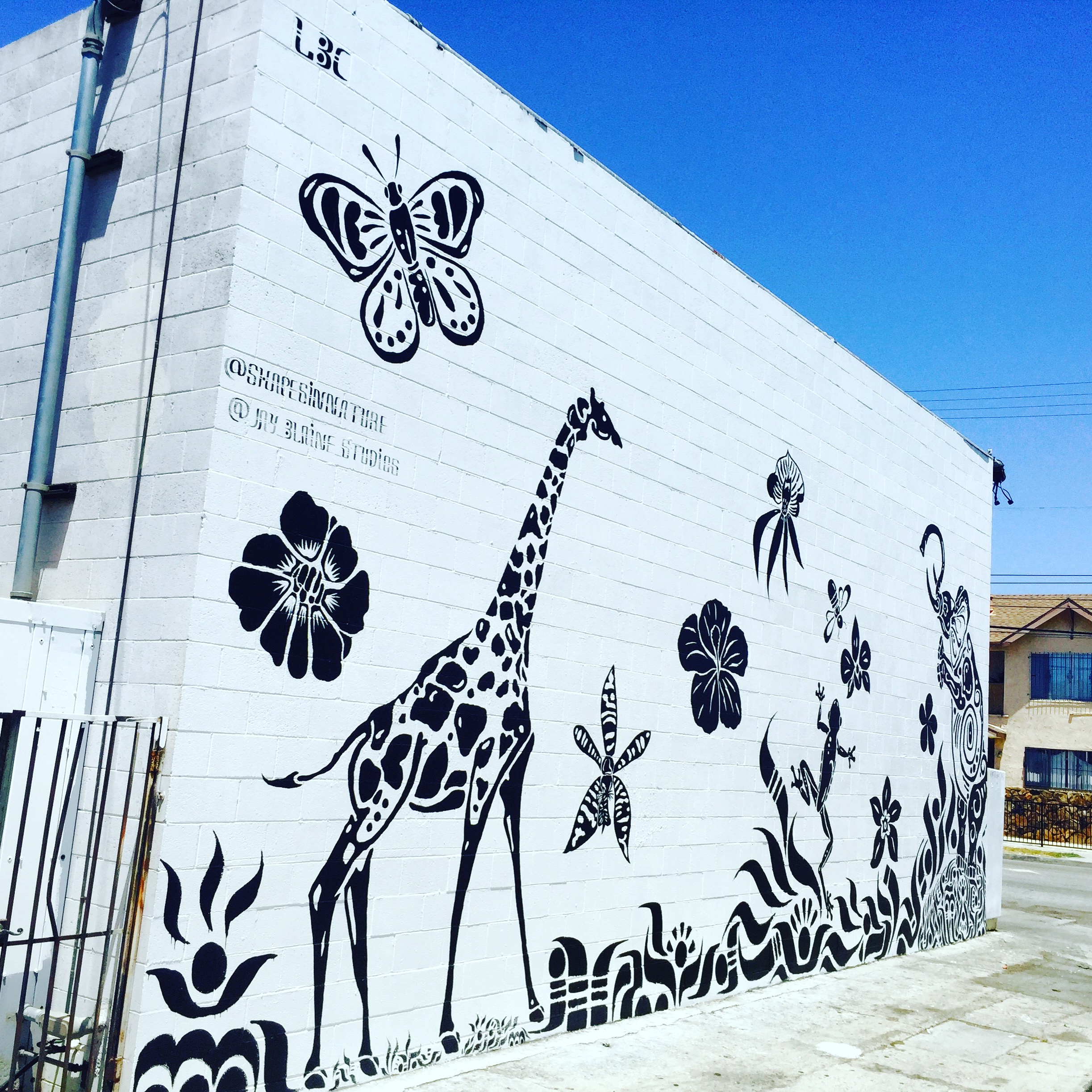 Midnight Bloom Giraffe