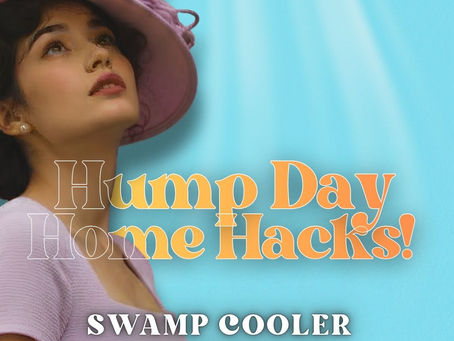 The “Swamp Cooler Switchover” (The Mineral Clean)