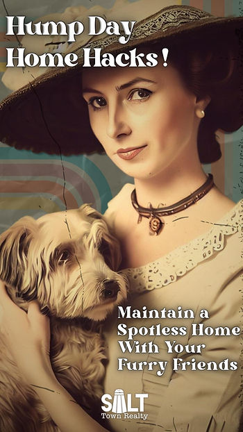 Maintain a Spotless Home With Your Furry Friends