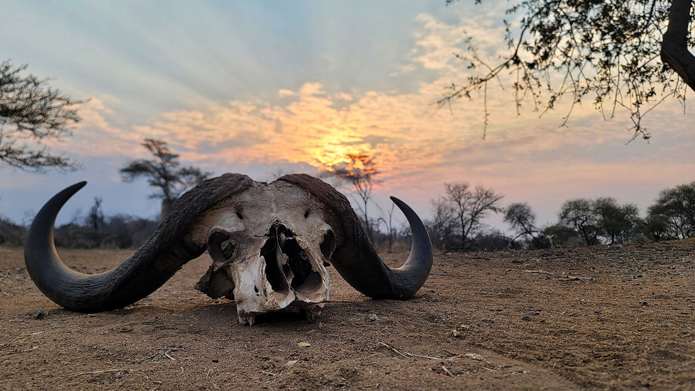Handgun hunting safari