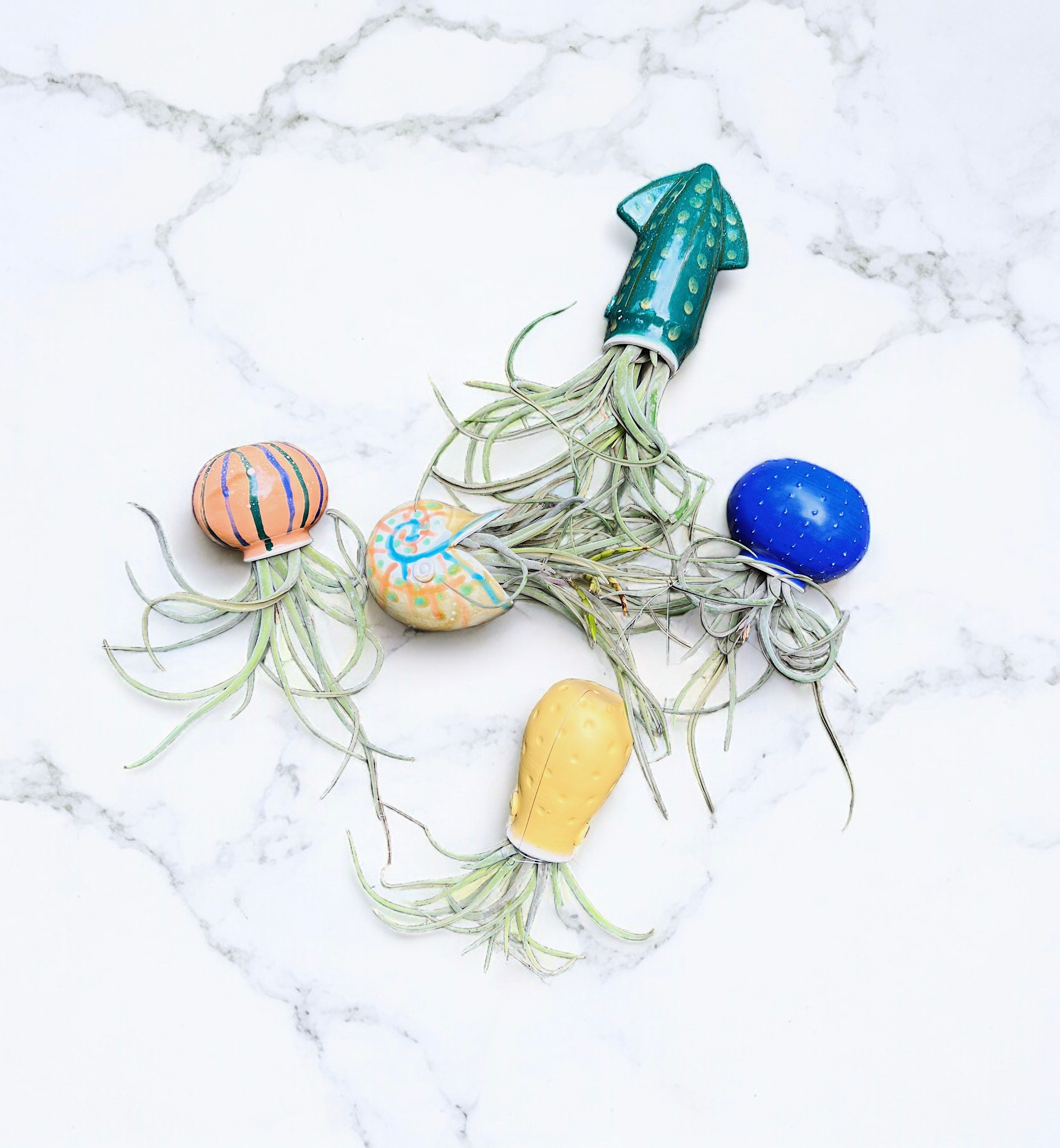 Kit de 05 piezas de linea marina regular