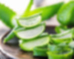 Aloe Vera_edited_edited_edited.jpg