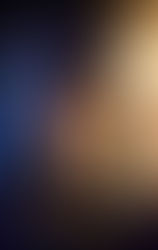 Why was The Last Wish Destined to Come Out Now