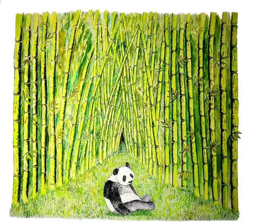 a green bamboo woodland and a panda bear in the middle
