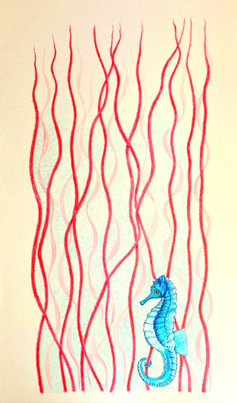 a blue seahorse between red coral
