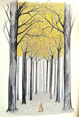A woodland and a little rabbit