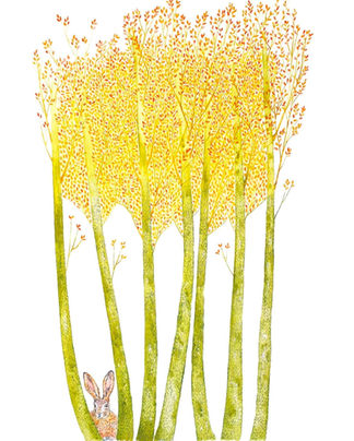 This is an illustration of a hare among the trees. I used a yellow palette and no outlining to give a more ethereal and dreamy touch to the piece.
I'm very influenced by the style found in the intricately decorated manuscripts of the Medieval times, in particular those showing flora and fauna.