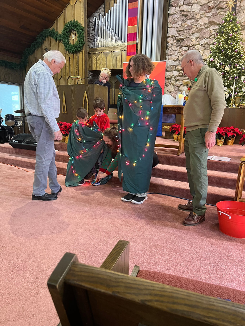 Our volunteer Christmas trees got all decked out with lights!