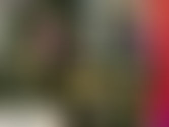 Living Faith Weekly News (Week of November 30, 2025)