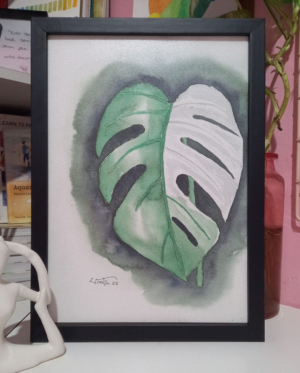 Miniatura: Monstera deliciosa