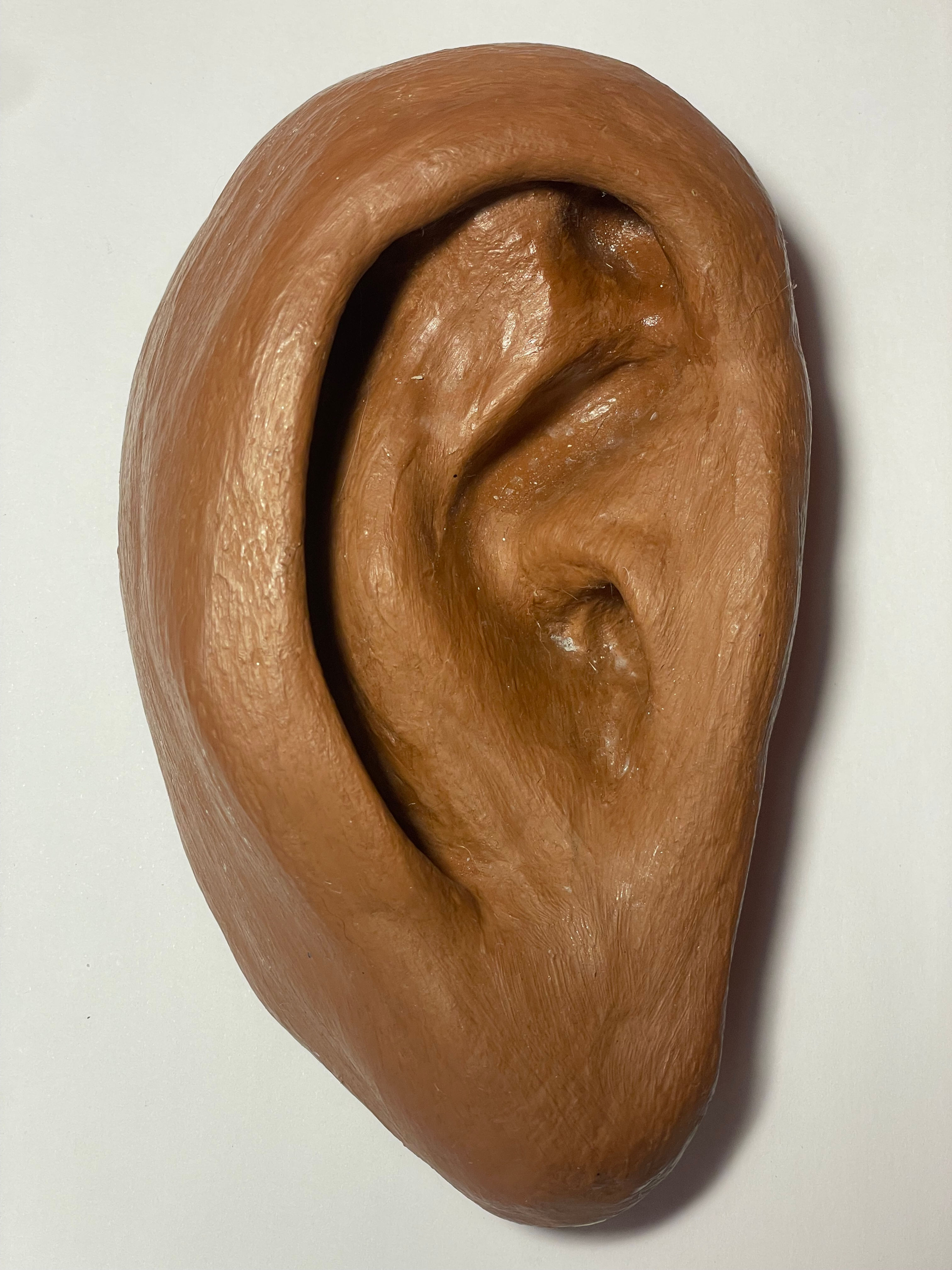 Orelha (14x8 cm)