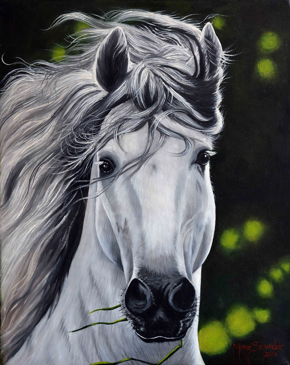 Lusitano branco