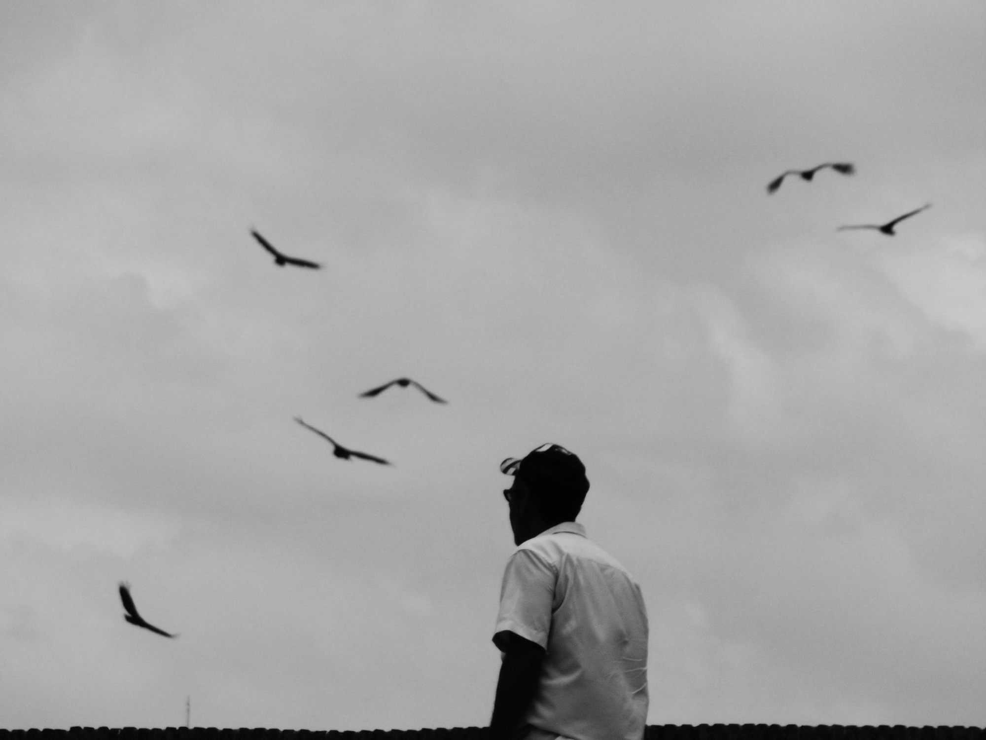 Vida em preto e branco