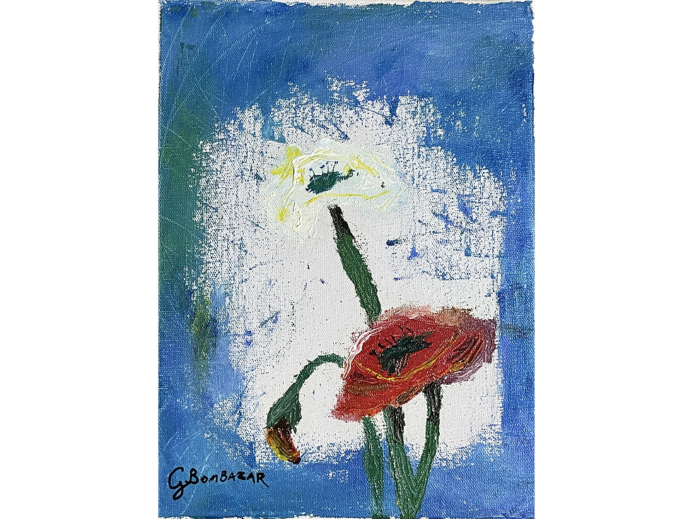 Destaque da Simplicidade