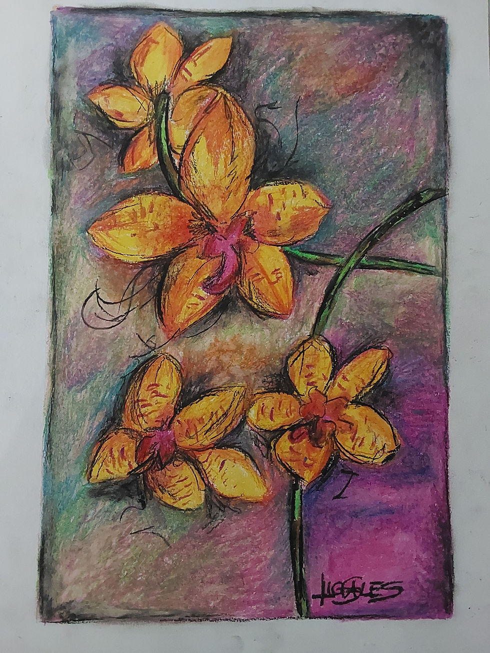 O amarelo e suas belezas