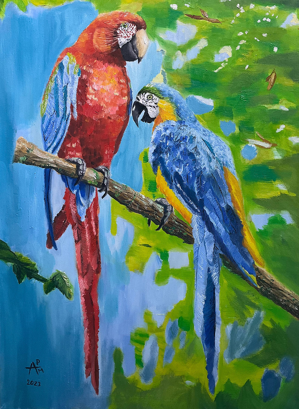 Araras a cor da natureza