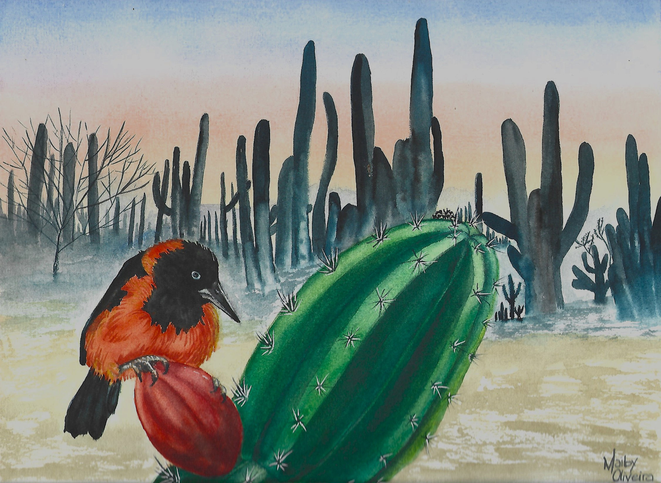 Caatinga e o Corrupião