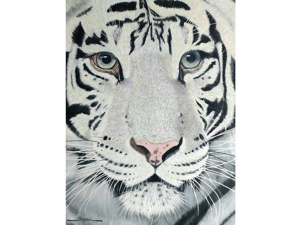 Tigre branco