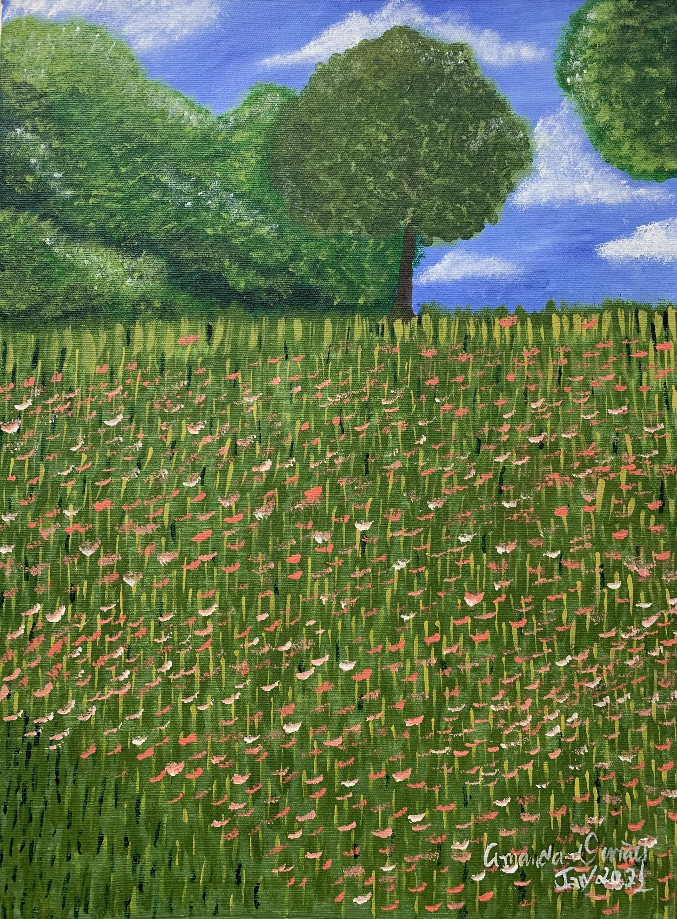 O jardim