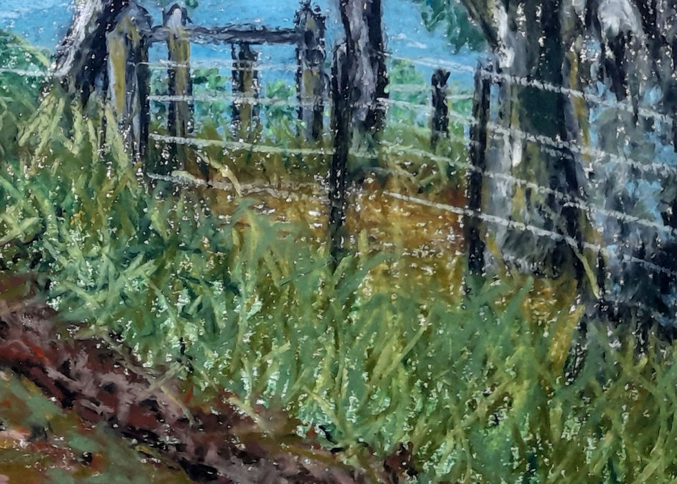 Miniatura: Árvores à beira da estrada