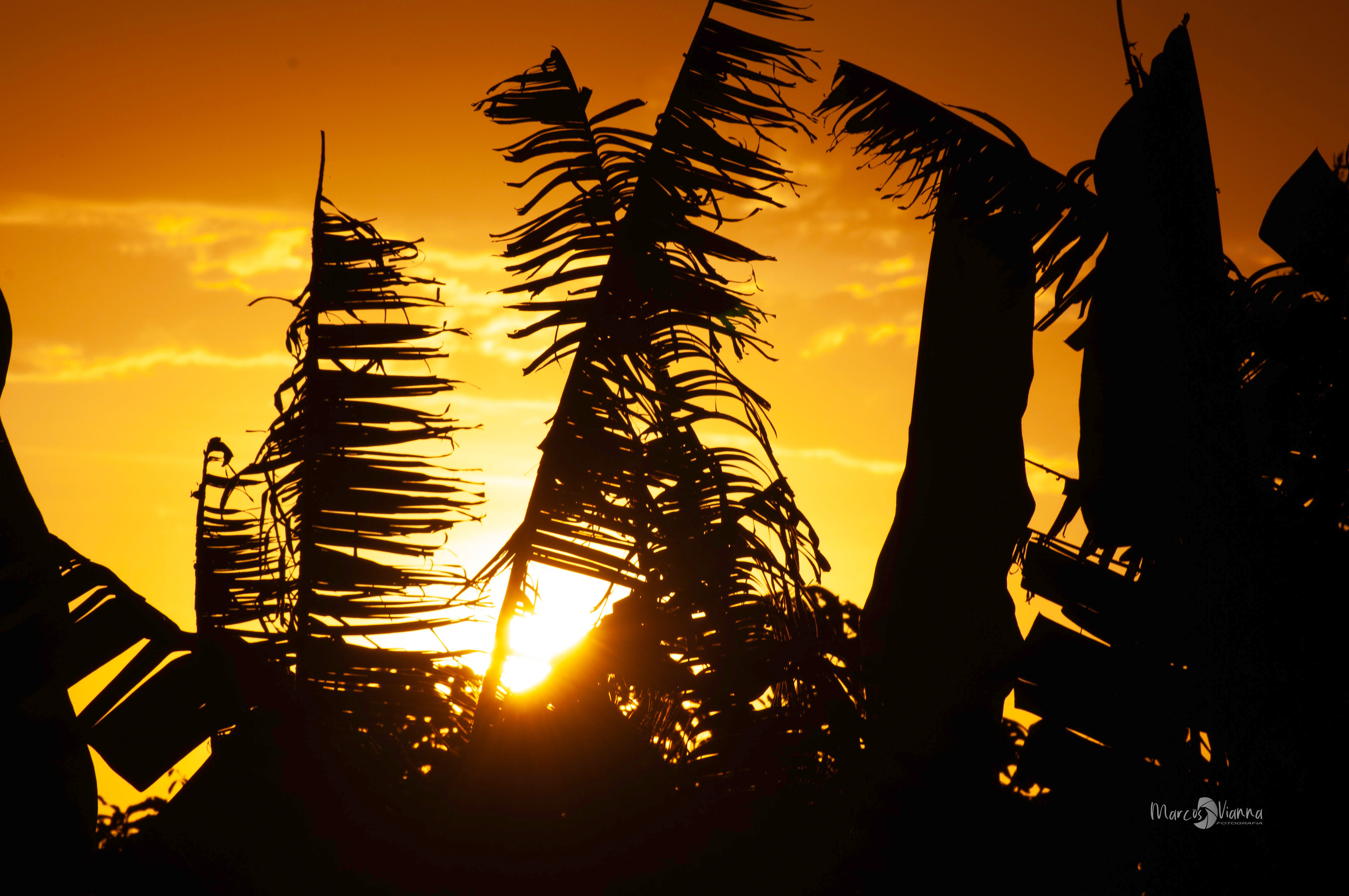 Pôr do Sol