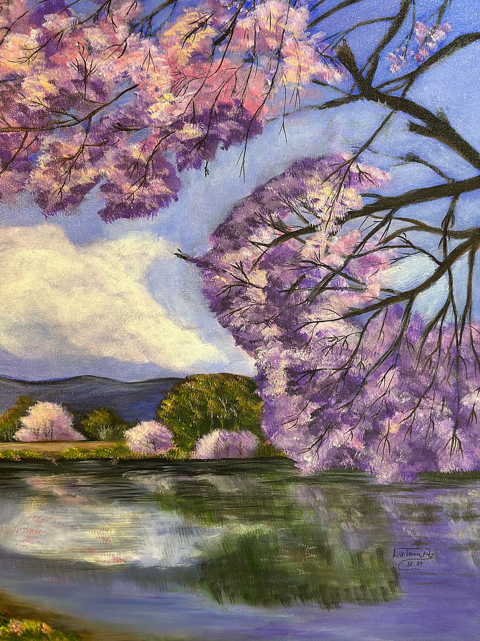 Miniatura: Cerejeiras em flor