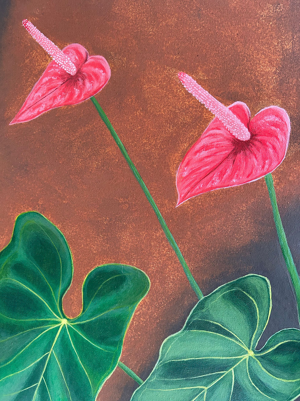 Miniatura: Anthurium