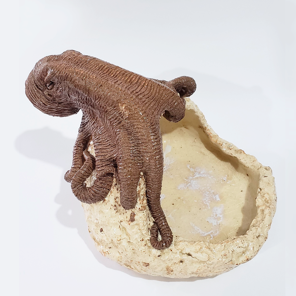 Miniatura: Polvo sobre a Pedra