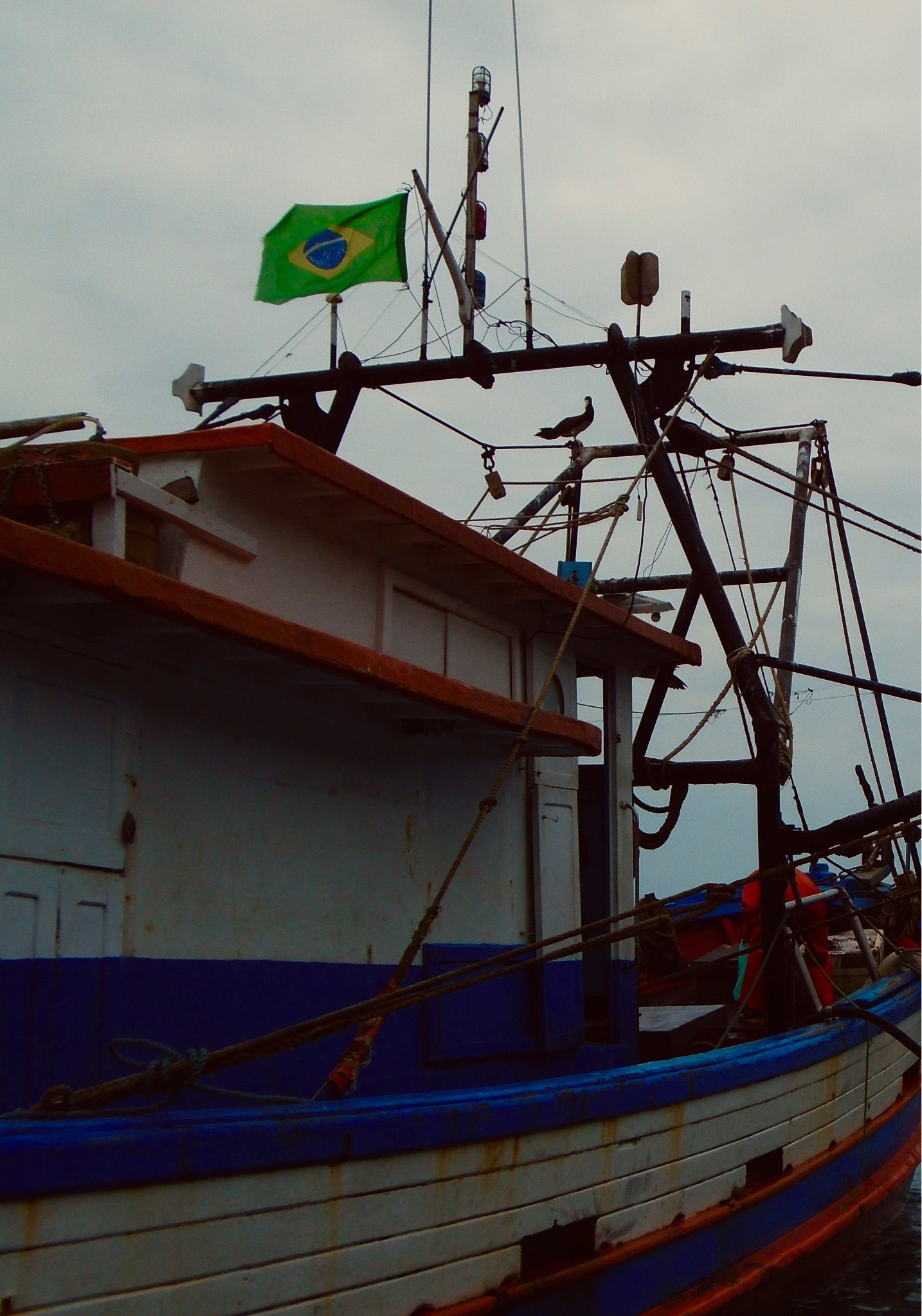 Sem título