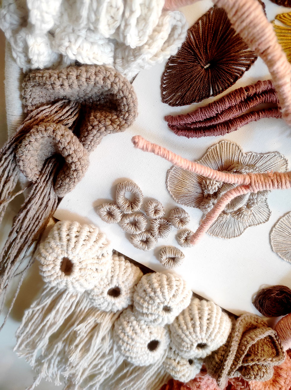 Miniatura: Fundo do Mar