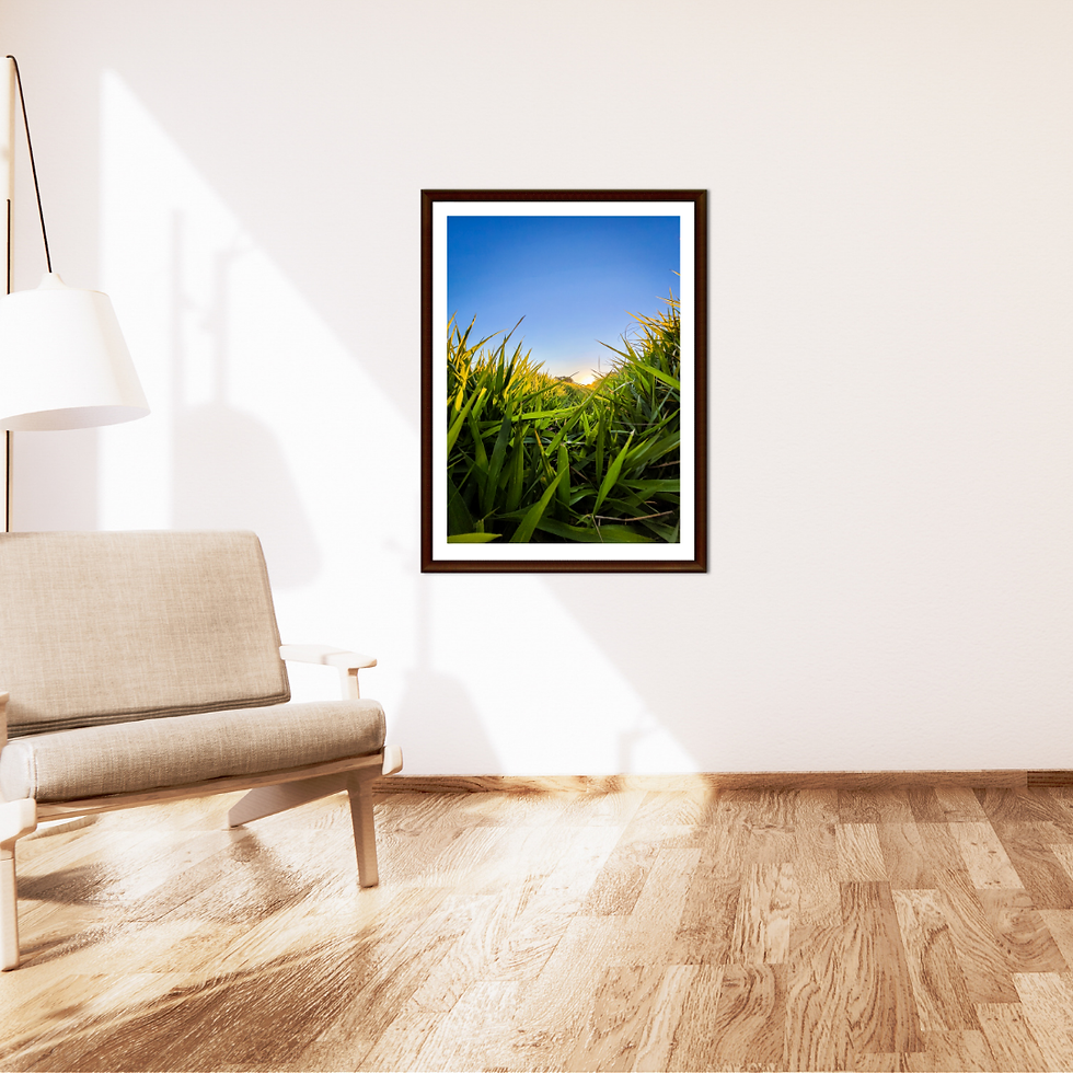 Miniatura: Horizon