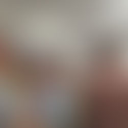 BirdCare Aotearoa Wildlife Hospital Tour and Bird First Aid