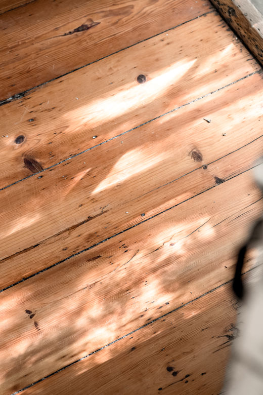 Sunlit wide-plank wood floor detail