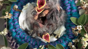 Our Pantry and Our Hearts are Overflowing!