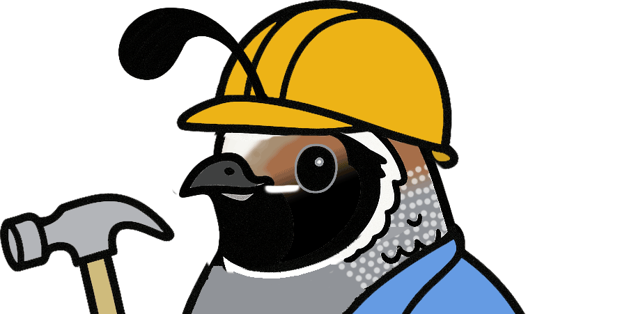 Why I Support Team Build