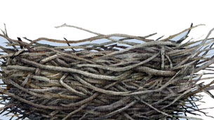 Happy Talontines Day - Love is in the air at BRC!