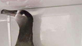 Season's Greetings From Our Nest To Yours...