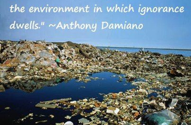 North Atlantic Garbage Patch
