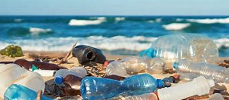 Article: "GUIDE TO MARINE PLASTIC POLLUTION"