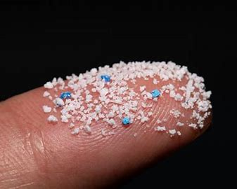 UGA researchers, volunteers help push forward microplastics research 