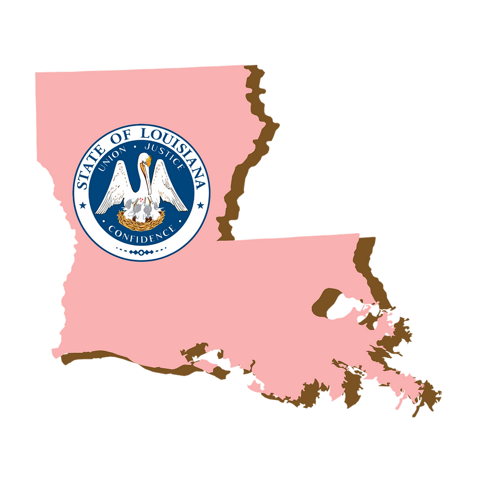 Louisiana, RON, Notary Public, La-Keisha Brokington.png