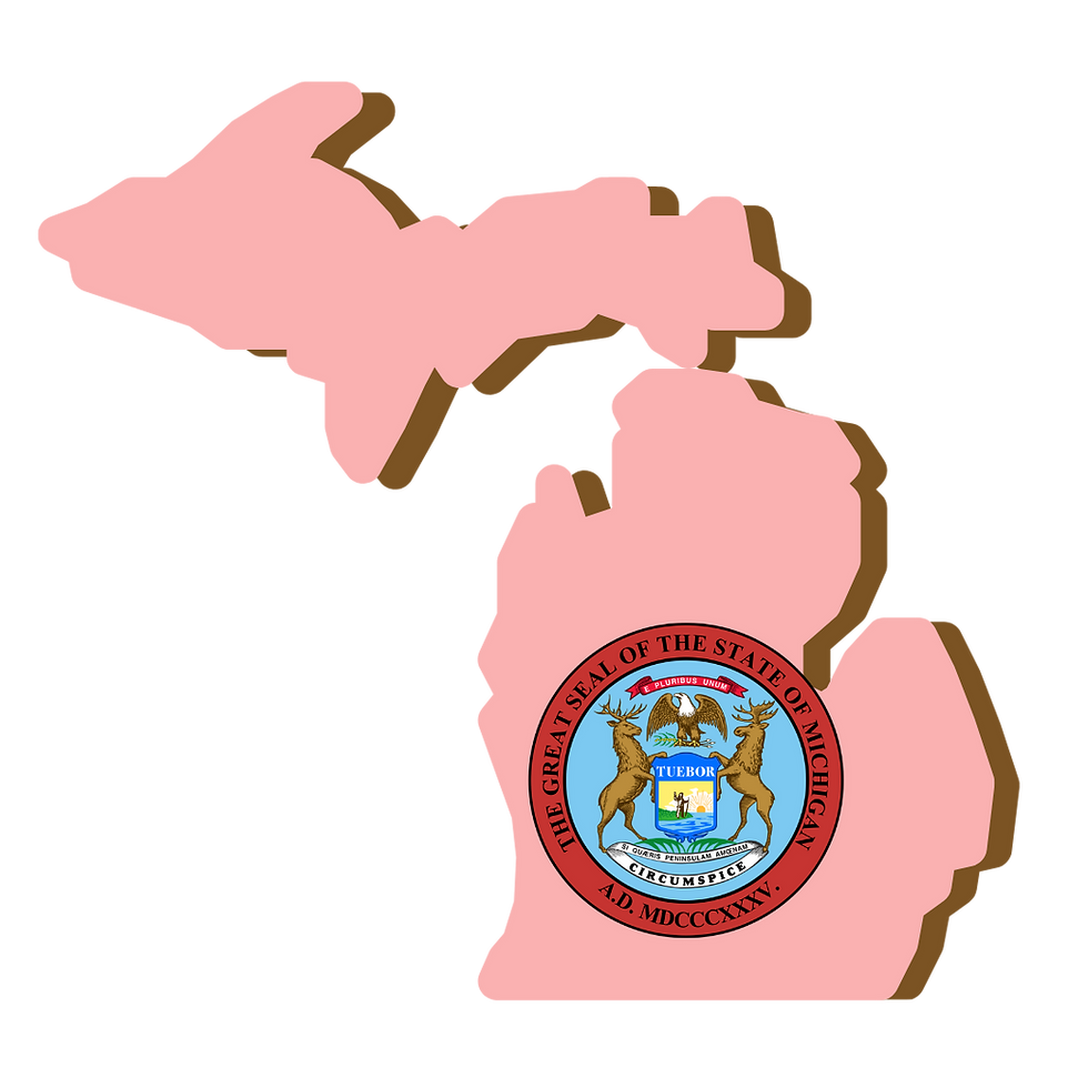 Michigan, RON, Notary Public, La-Keisha Brokington.png