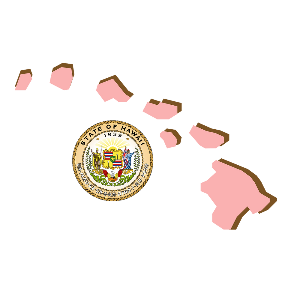Hawaii, RON, Notary Public, La-Keisha Brokington.png