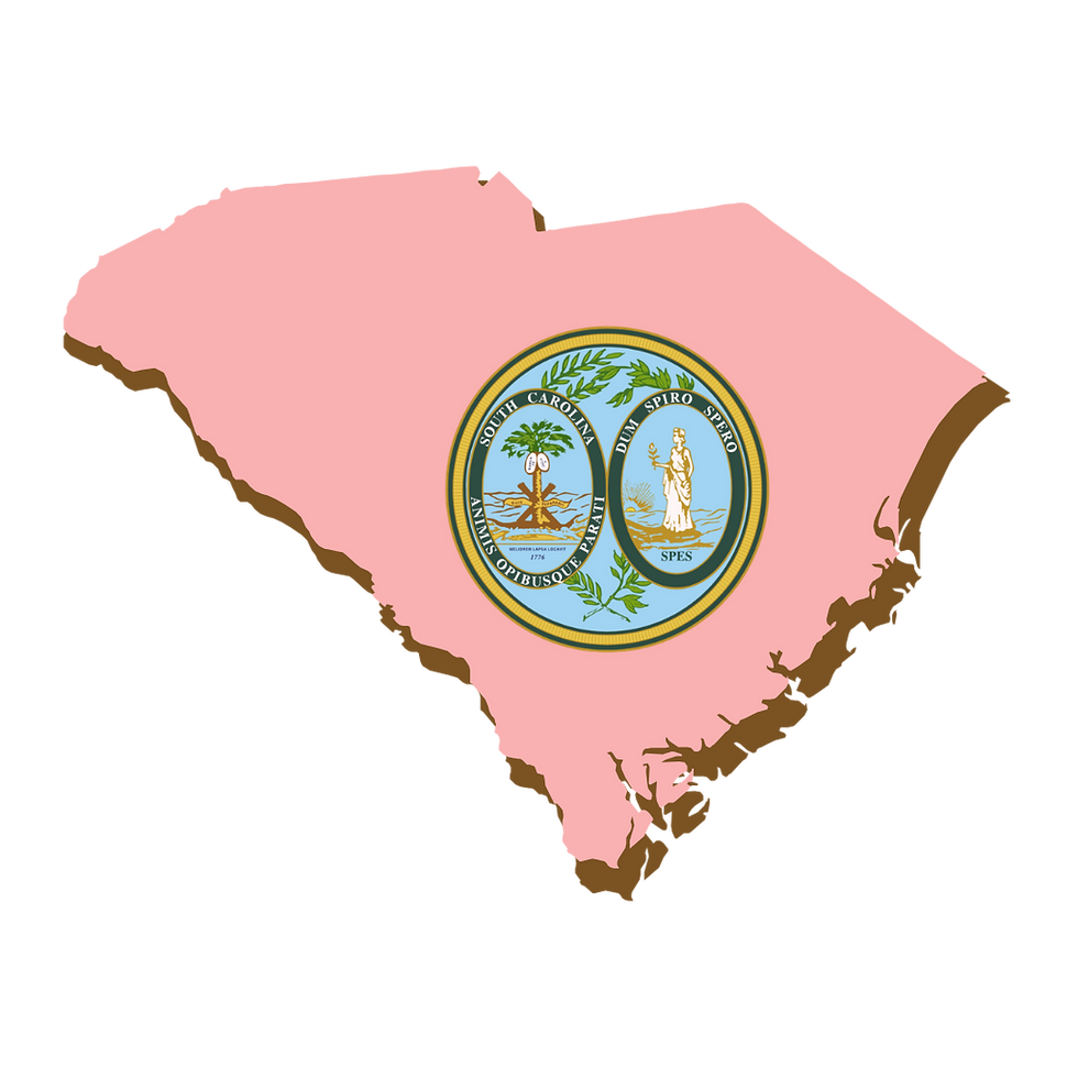South Carolina, RON, Notary Public, La-Keisha Brokington.png