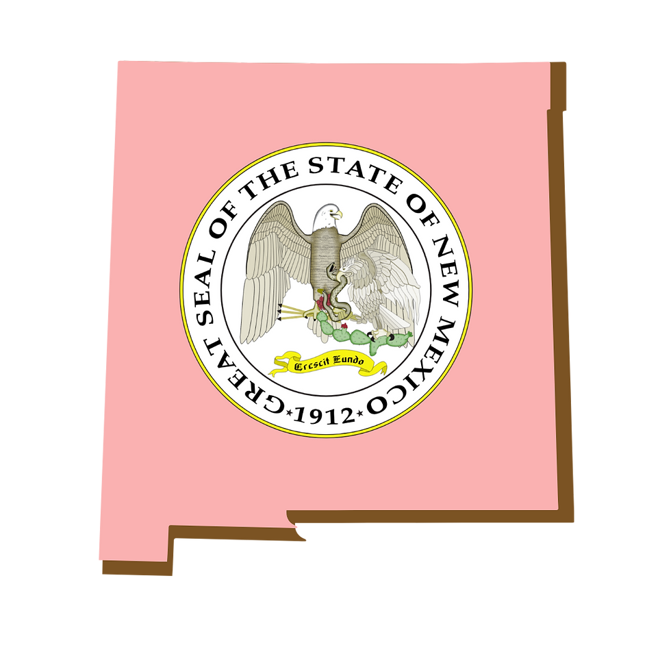 New Mexico, RON, Notary Public, La-Keisha Brokington.png