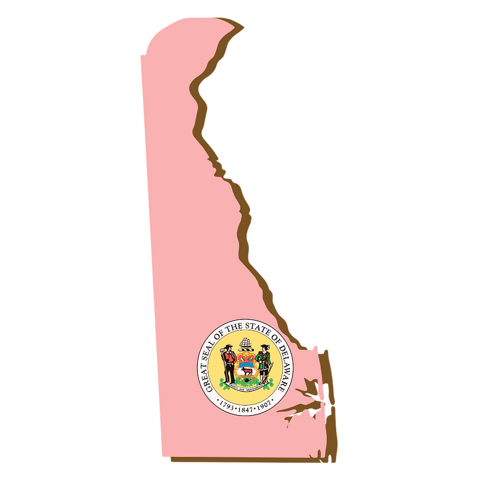 Delaware, , RON, Notary Public, La-Keisha Brokington.png