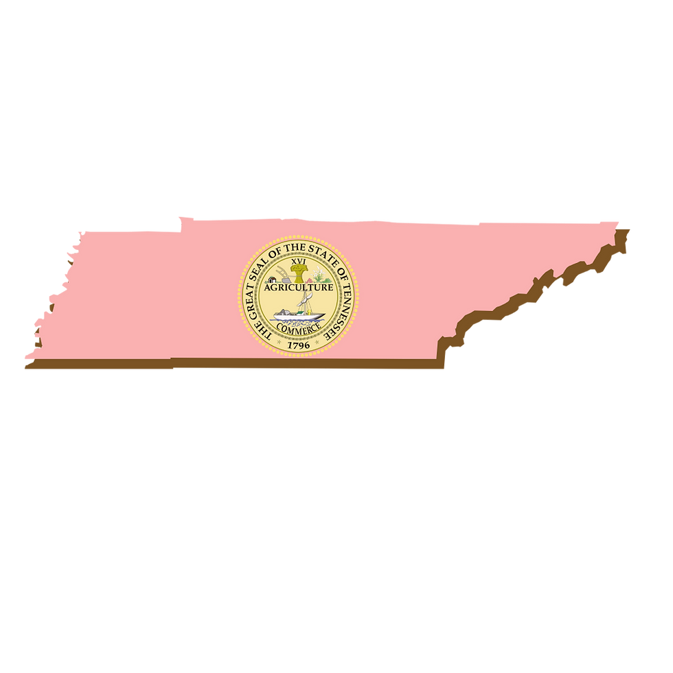 Tennessee, RON, Notary Public, La-Keisha Brokington.png